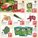 Marktkauf Prospekt Seite 3