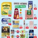 Marktkauf Prospekt Seite 8