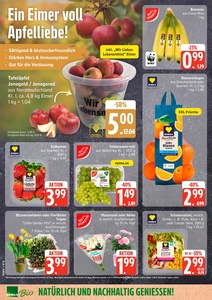 Marktkauf Prospekt - Angebote ab 26.01.