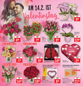 Marktkauf Prospekt - Angebote ab 09.02. - Seite 2