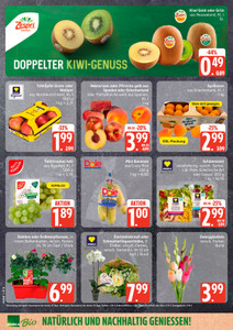 Marktkauf Prospekt - Angebote ab 08.06.