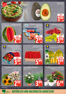 Marktkauf Prospekt - Angebote ab 27.07.