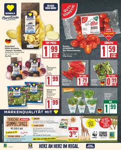 EDEKA Prospekt - Angebote ab 14.10.