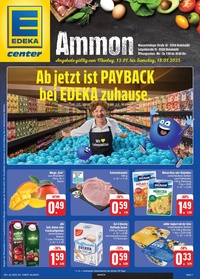 EDEKA Prospekt - Angebote ab 13.01.