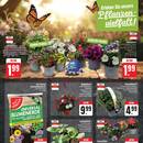 EDEKA Prospekt Seite 3