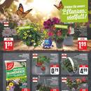 EDEKA Prospekt Seite 3