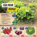 EDEKA Prospekt Seite 2