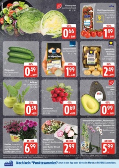EDEKA Prospekt - Angebote ab 10.06.