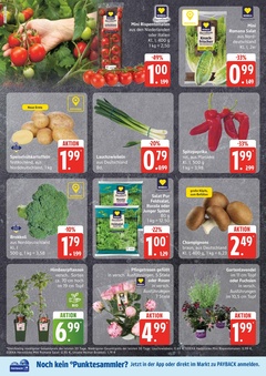 EDEKA Prospekt - Angebote ab 16.06.