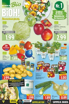 EDEKA Prospekt - Angebote ab 16.06.