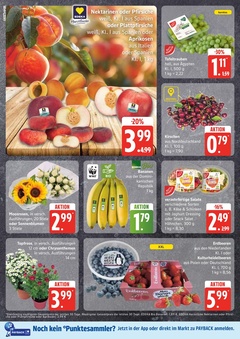 EDEKA Prospekt - Angebote ab 21.07.