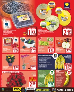 EDEKA Prospekt - Angebote ab 04.08.