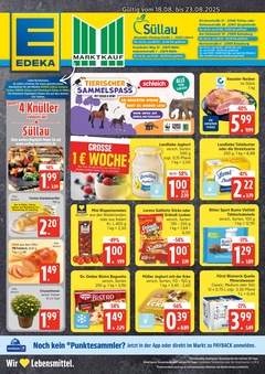 EDEKA Prospekt - Angebote ab 18.08.