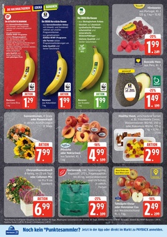 EDEKA Prospekt - Angebote ab 01.09.