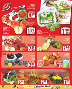 EDEKA Prospekt - Angebote ab 01.09.