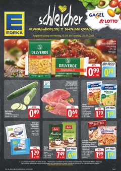 EDEKA Prospekt - Angebote ab 15.09.