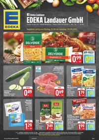 EDEKA Prospekt - Angebote ab 15.09.