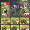 EDEKA Prospekt Seite 3