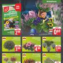 EDEKA Prospekt Seite 3