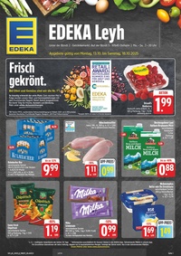 EDEKA Prospekt - Angebote ab 13.10.