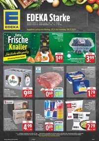 EDEKA Prospekt - Angebote ab 03.11.