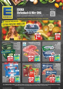EDEKA Prospekt - Angebote ab 19.01.