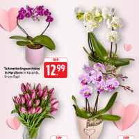 EDEKA Prospekt Seite 2