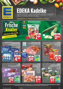 EDEKA Prospekt - Angebote ab 16.03.
