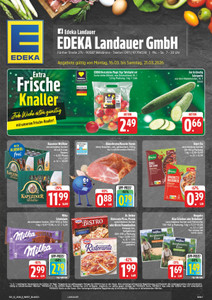 EDEKA Prospekt - Angebote ab 16.03.