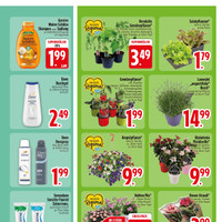 EDEKA Prospekt Seite 23