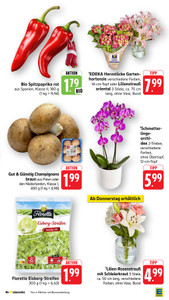 EDEKA Prospekt - Angebote ab 22.06.