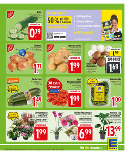 EDEKA Prospekt - Angebote ab 17.08.