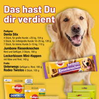 Zimmermann Prospekt Seite 3