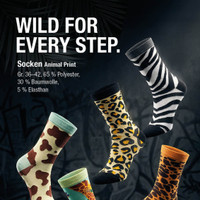 Zimmermann Prospekt Seite 3