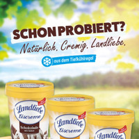 Zimmermann Prospekt Seite 2