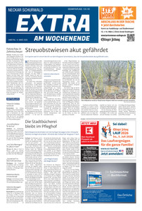 Bechtle Verlag Prospekt - EXTRA_NEC KW 11_2026