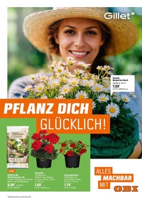 GILLET Prospekt - Pflanz Dich Glücklich