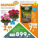Globus Baumarkt Prospekt - Blumen