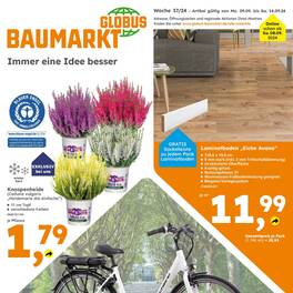 Globus Baumarkt