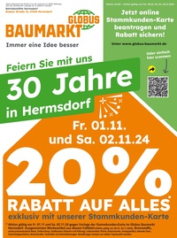 Globus Baumarkt Prospekt - Angebote ab 28.10.