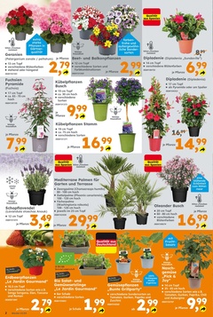 Globus Baumarkt Prospekt - Angebote ab 22.04.