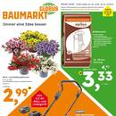 Globus Baumarkt Prospekt - Blumen
