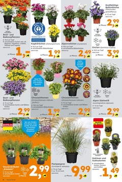 Globus Baumarkt Prospekt - Angebote ab 16.06.