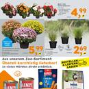 Globus Baumarkt Prospekt Seite 2