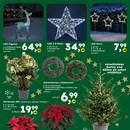 Globus Baumarkt Prospekt - Blumen