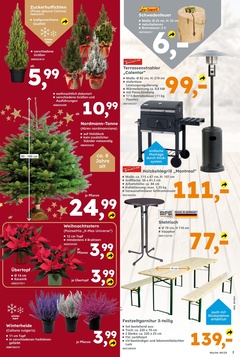 Globus Baumarkt Prospekt - Angebote ab 01.12.