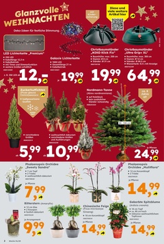 Globus Baumarkt Prospekt - Angebote ab 15.12.