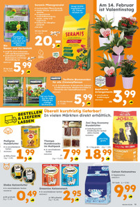 Globus Baumarkt Prospekt - Angebote ab 09.02.