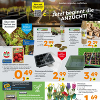 Globus Baumarkt Prospekt Seite 2