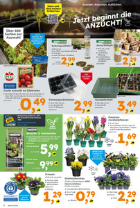 Globus Baumarkt Prospekt - Angebote ab 16.02. - Seite 2